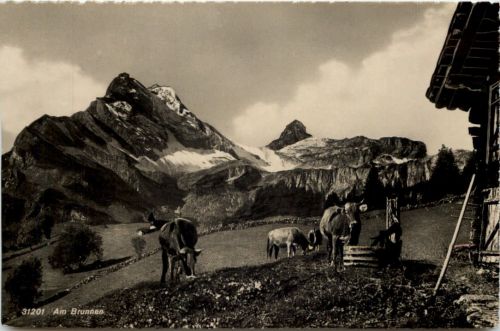 Braunwald - Am Brunnen