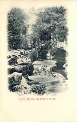 Bettws Y Coed - Fairy Glenn
