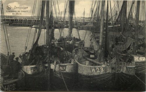 Zeebrugge - Chaloupes au bassin de pecne