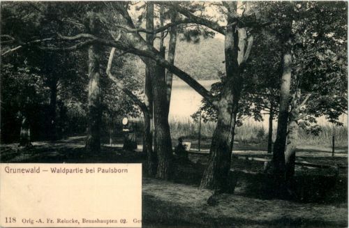 Grunewald - Waldpartie bei Paulsborn