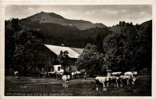 Schlipfgrub-Alm mit Rampoldplatte bei Brannenburg