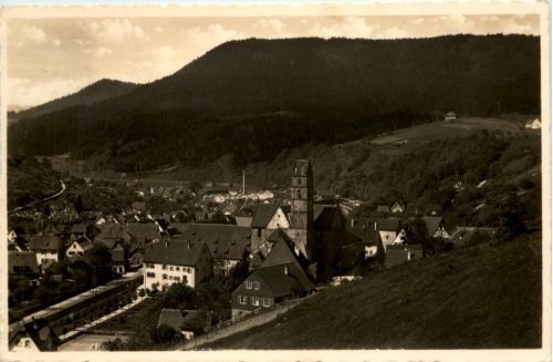 Kurort Alpirsbach im Schwarzwald, Blick vom Waldhotel Burghalde
