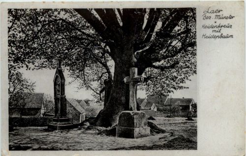 Laer - Bez. Münster - Heidenkreuz mit Heidenbaum