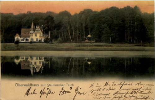 Oberwaldhaus mit Steinbrücker Teich