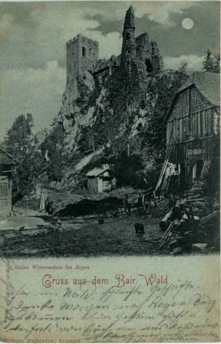 Gruss aus dem Bair. Wald - Ruine Weissenstein bei Regen