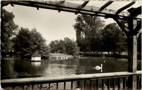 Kandel/Pfalz, Schwanenweiher