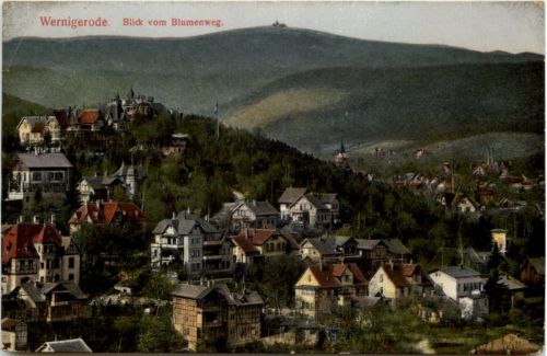 Wernigerode, Blick vom Blumenweg