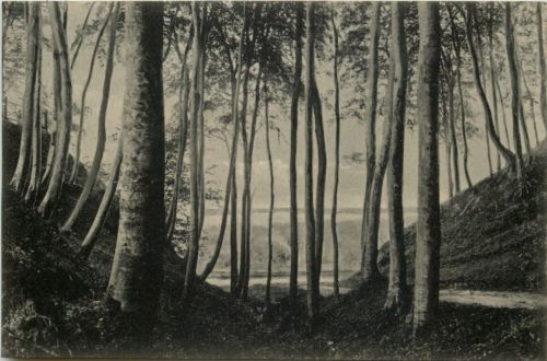 Timmendorfer Strand, Die Wolfsschlucht in der Kammer