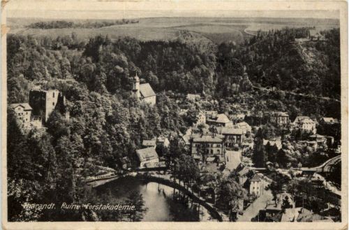 Tharandt, Ruine Forstakademie