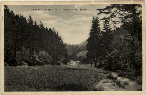 Tambach-Dietharz, Partie in der Spitter