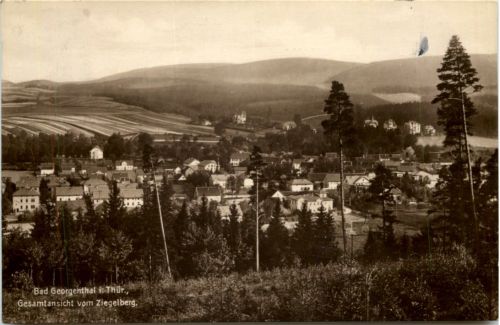 Bad Georgenthal, Gesamtansicht vom Ziegelberg