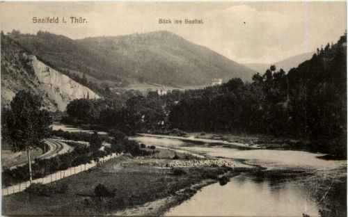 Saalfeld, Blick ins saaltal