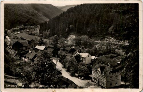 Schwarzwald i. Thür., Blick in den Grund
