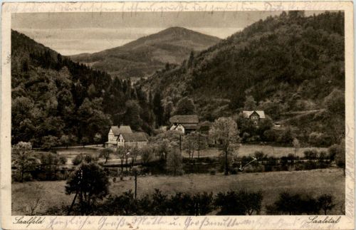Saalfeld/Saale, Saaletal