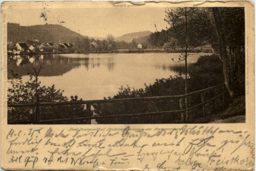 Bad Georgenthal, Frühlingsmorgen am Hammerteich