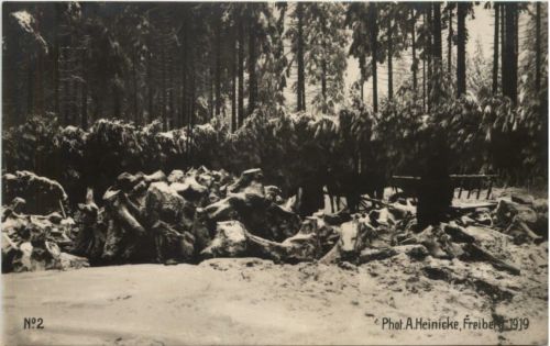 Freiberg 1919