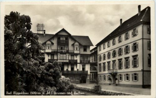 Bad Rippoldsau, Brunnen und Badbau