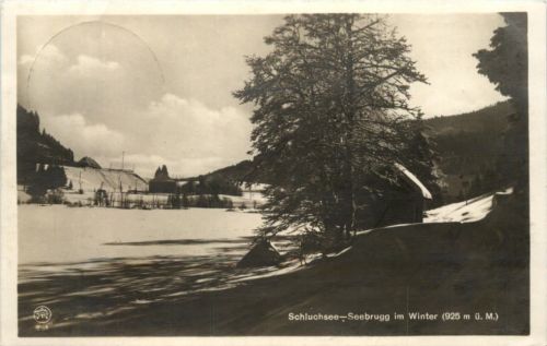 Schluchsee - Seebrugg im Winter