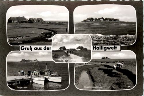 Gruss aus der Halligwelt, div. Bilder