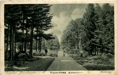 Ostseebad Brunshaupten - Waldweg