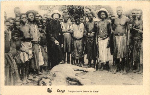Congo - Neergeschoten Leeuw in Kaisai - Jagd