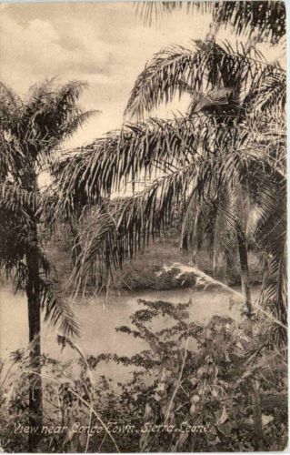 Sierra Leone - View near Congo Town