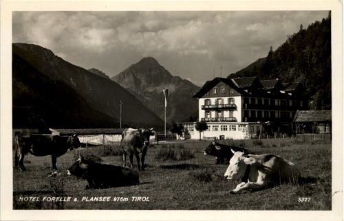 Plansee - Hotel Forelle - Tirol