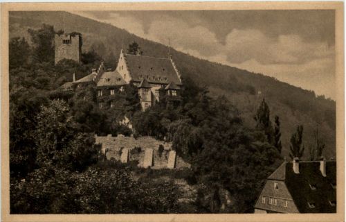 Miltenberg a.M., Das alte Schloss