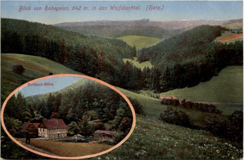 Blick von Hohegeiss in das Wolfsbachtal