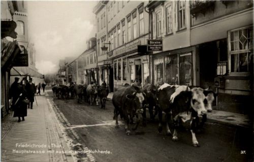Friedrichroda, Hauptstrasse mit ausziehender Kuhherde