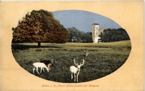 Putbus auf Rügen, Fürstl. Schlosskapelle mit Wildpark