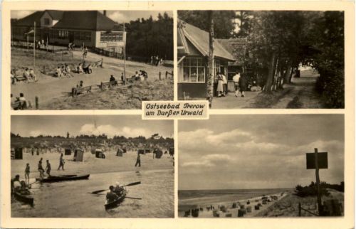 Seebad Prerow am Darsser Urwald, div. Bilder
