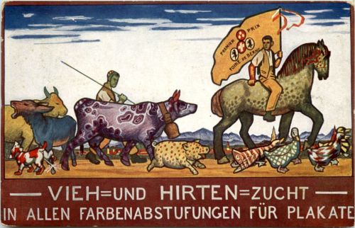 Foire de Brne - Vieh und Hirten Zucht
