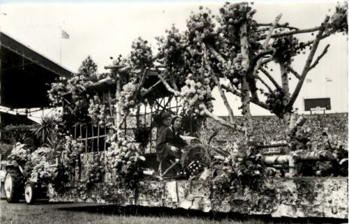 Aalsmeer - Bloemencorso