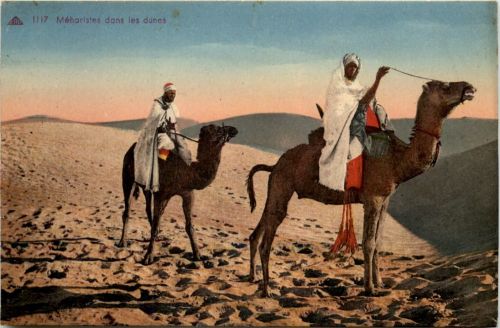 Meharistes dans les dunes - Algerie