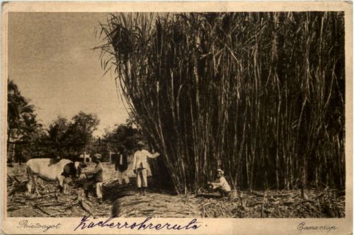 Soerabaja - Indonesia