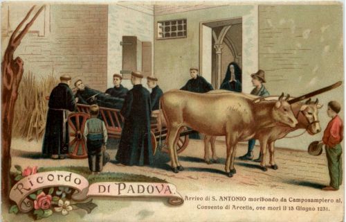 Ricordo di Padova - Litho