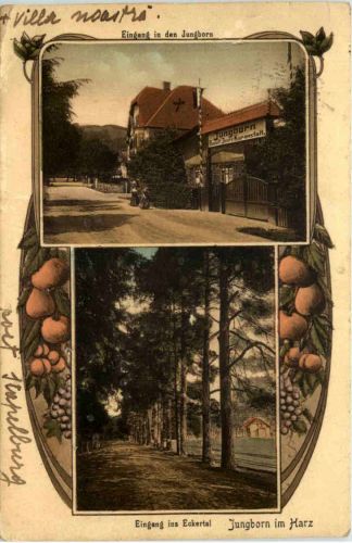 Jungborn im Harz