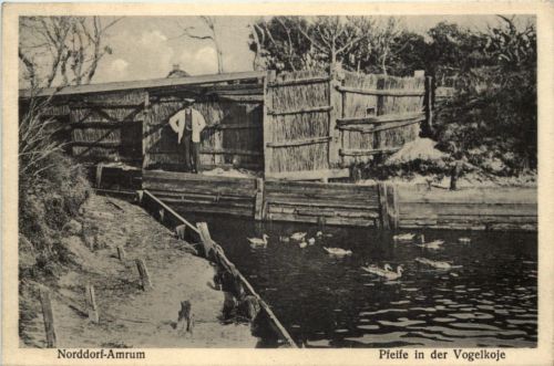Norddorf-Amrum - Pfeife in der Vogelkoje