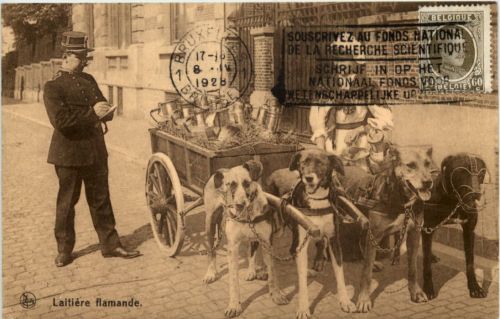Laitiere flamande - Hundekutsche