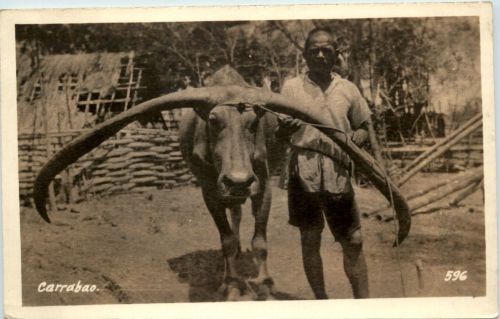 Carrabao - Asia