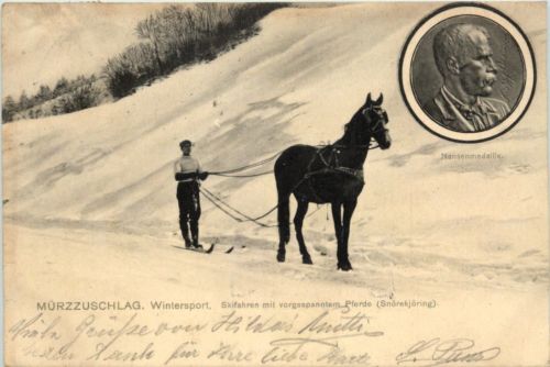 Mürzzuschlag - Wintersport - Skifahren mit Pferd
