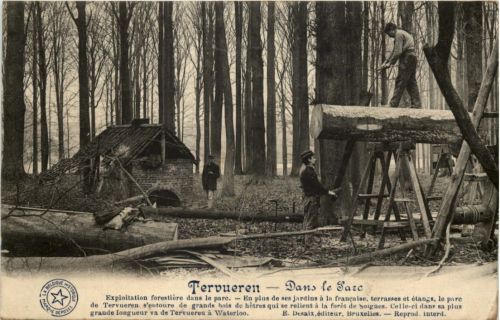 Tervueren - Dans le Parc - Holzfäller