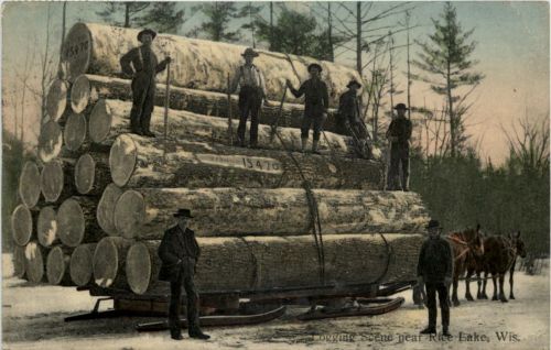 Logging Scene near Rice Lake - Wisconsin
