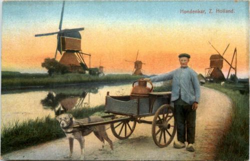 Hondenkar . Zuid Holland