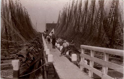 Marken