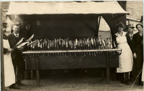 Fisch Räucherei