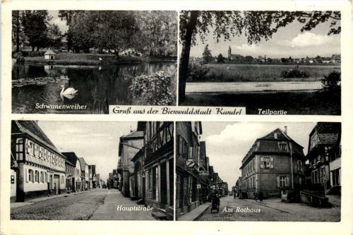 Gruss aus der Bienwaldstadt Kandel Pfalz