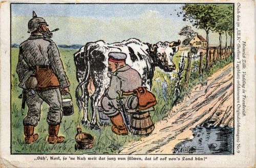 1. Weltkrieg - Humor - Kuh - Heinrich Zille