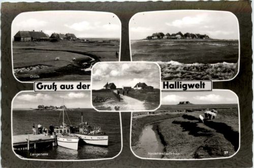 Gruss aus der Halligwelt, div. Bilder